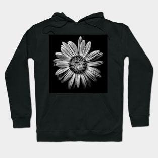 Backyard Flowers In Black And White 13 Hoodie